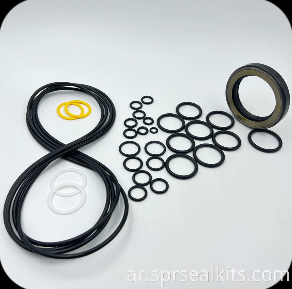 67 Swing Motor Seal Repair Kit